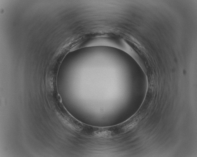 X0000062880452200601201824