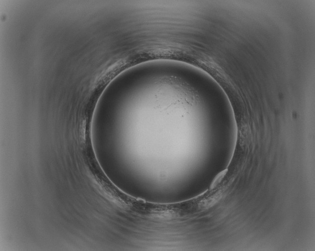 X0000062880454200601201824