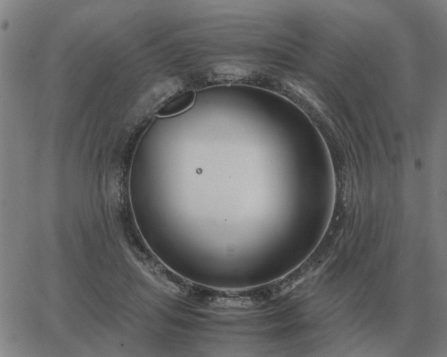 X0000062880455200601201824