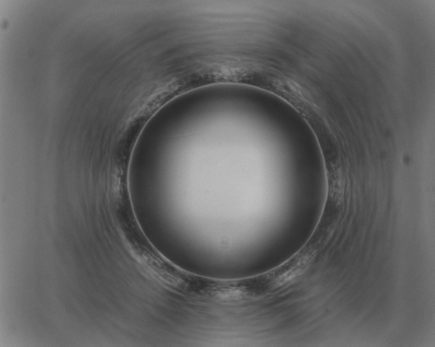 X0000062880456200601201824