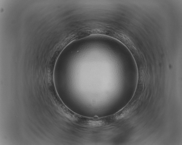 X0000062880457200601201824