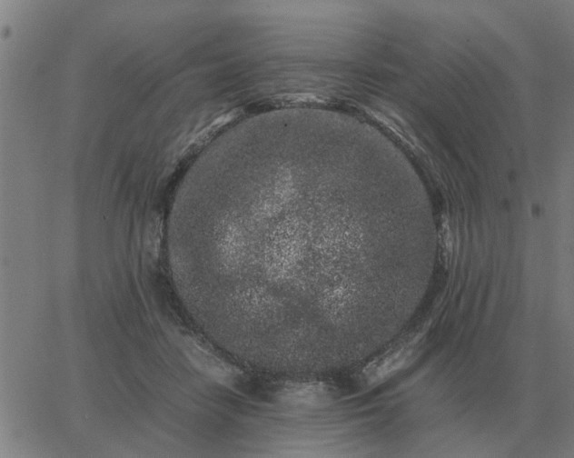 X0000062880458200601201824