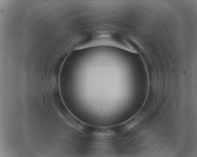 X0000062880459200601201824