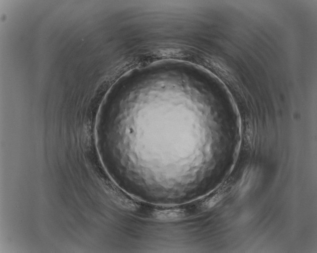 X0000062880461200601201824