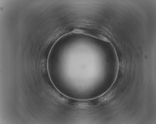 X0000062880462200601201824