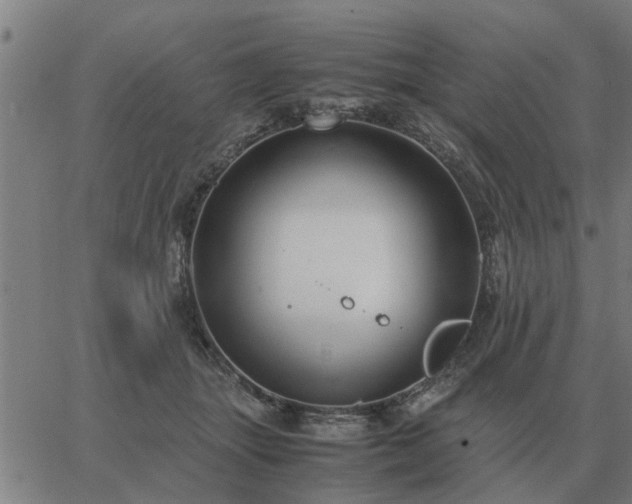 X0000062880463200601201824