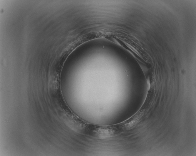 X0000062880464200601201824