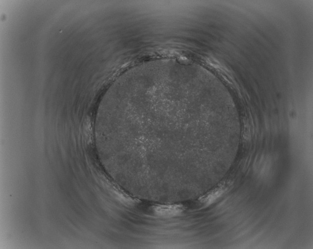 X0000062880465200601201824