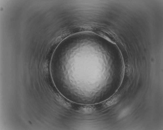 X0000062880466200601201824