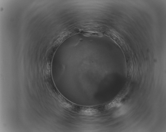 X0000062880467200601201824