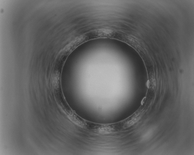 X0000062880468200601201824