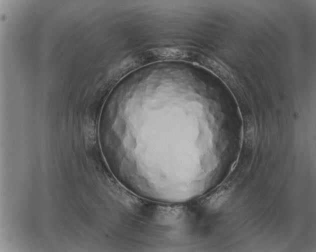 X0000062880469200601201824