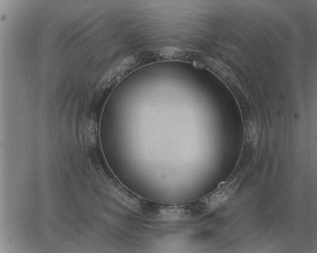 X0000062880470200601201824