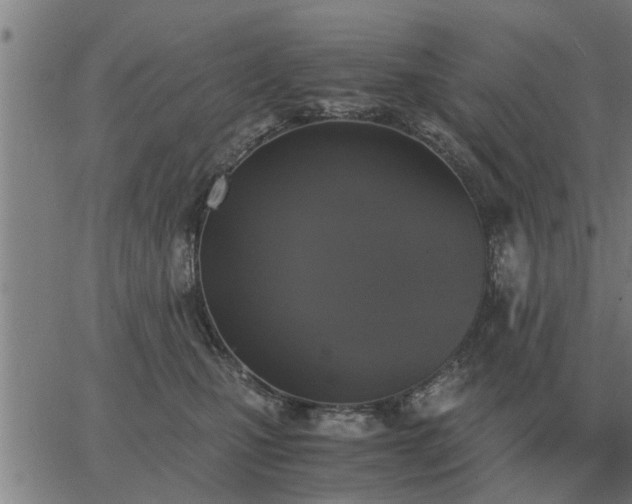 X0000062880471200601201824