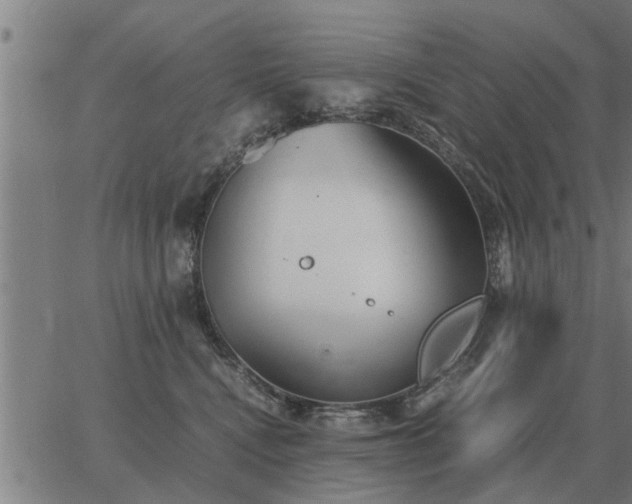 X0000062880472200601201824