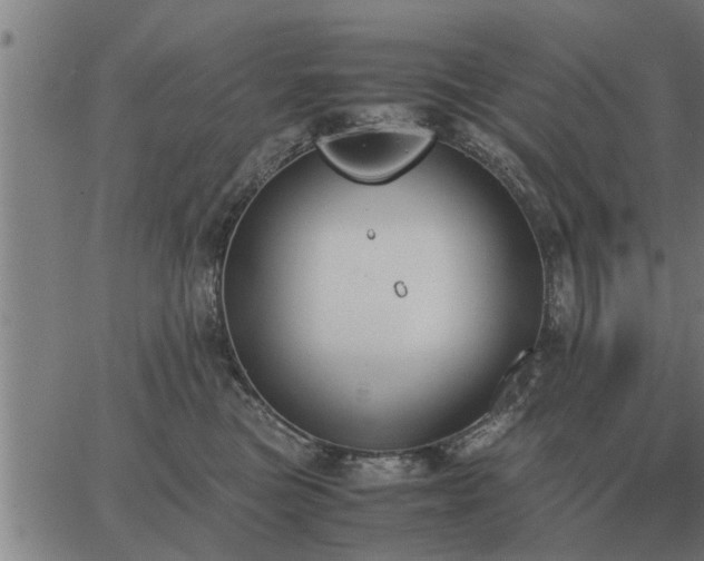 X0000062880473200601201824