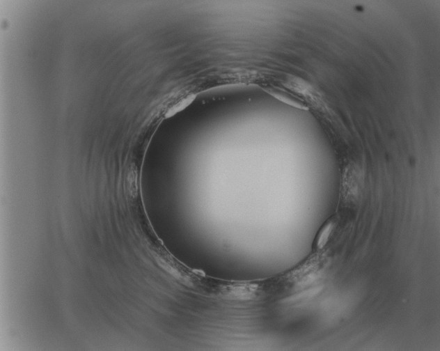 X0000062880474200601201824