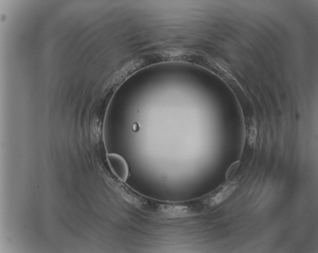 X0000062880476200601201824