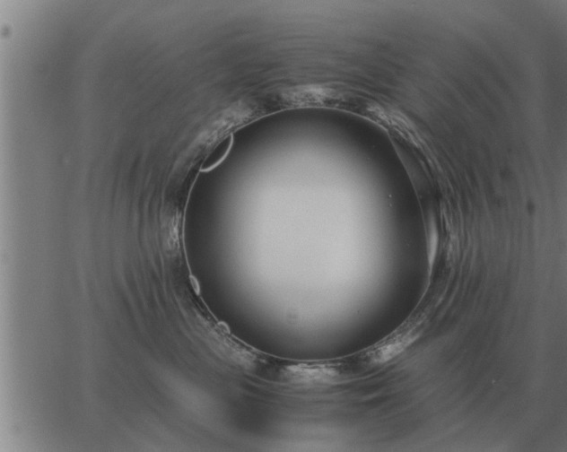 X0000062880477200601201824