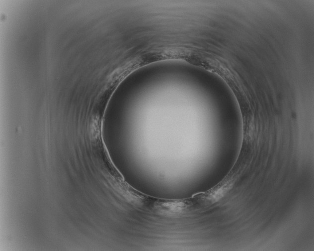 X0000062880478200601201824