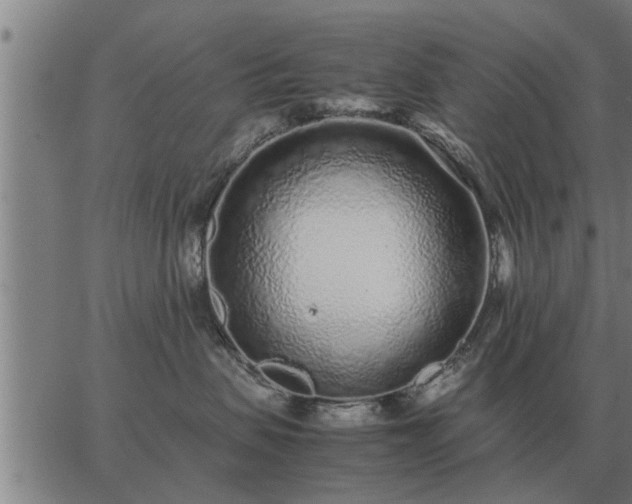 X0000062880479200601201824