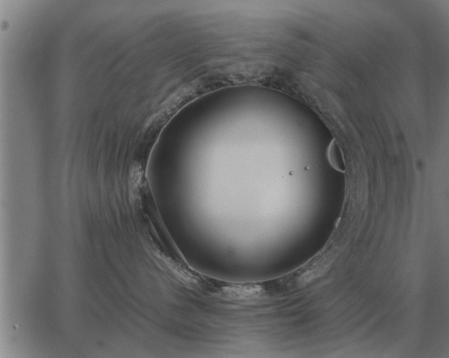 X0000062880480200601201824