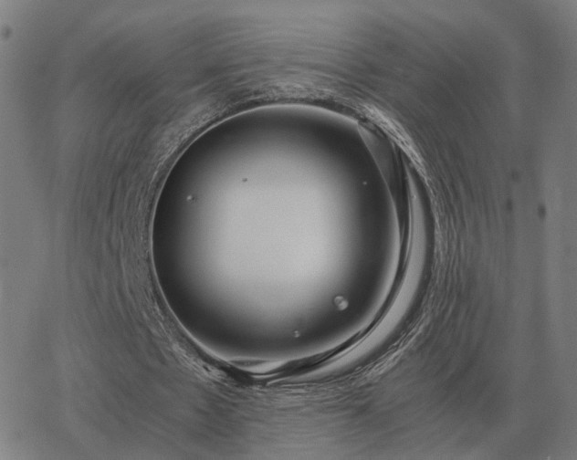 X0000062880481200601201824