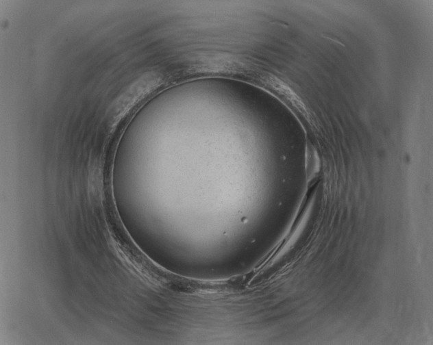 X0000062880482200601201824