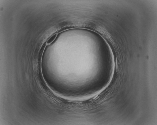 X0000062880483200601201824