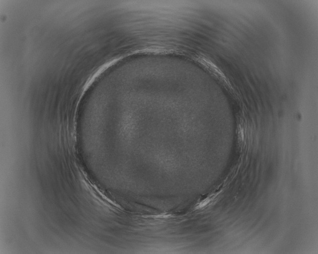 X0000062880484200601201824