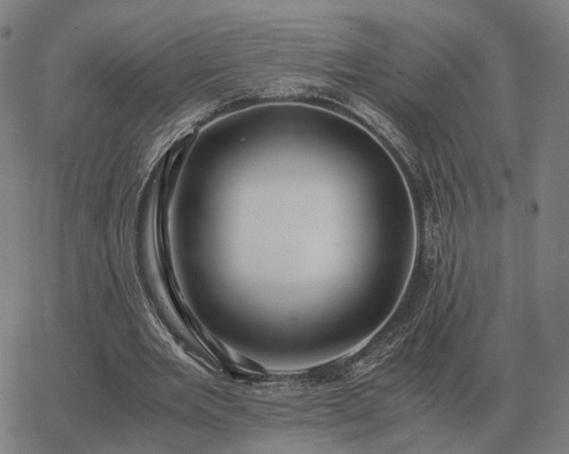 X0000062880485200601201824