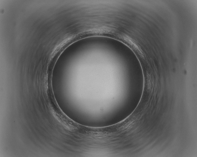 X0000062880486200601201824