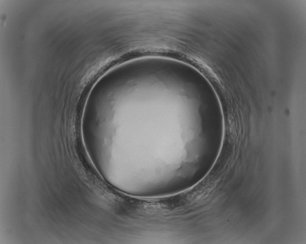 X0000062880487200601201824