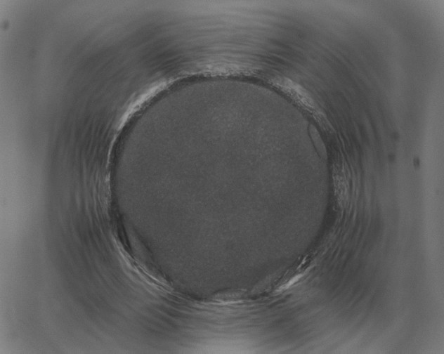 X0000062880488200601201824