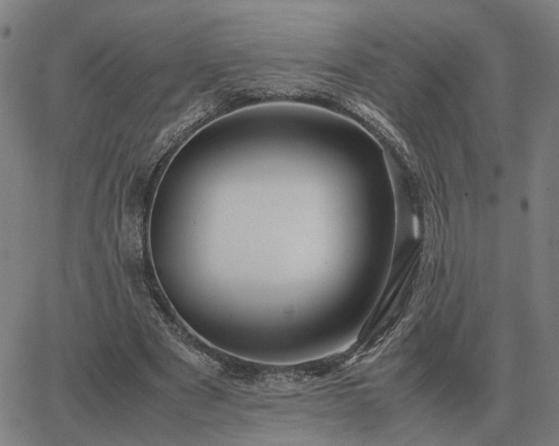 X0000062880489200601201823