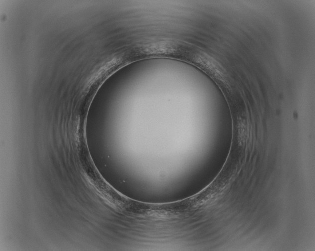 X0000062880490200601201823