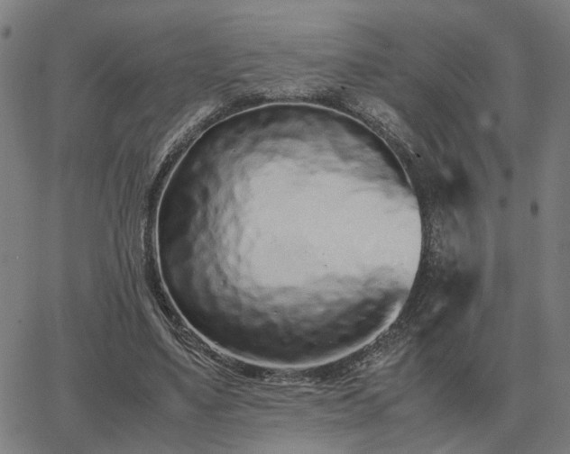 X0000062880491200601201823