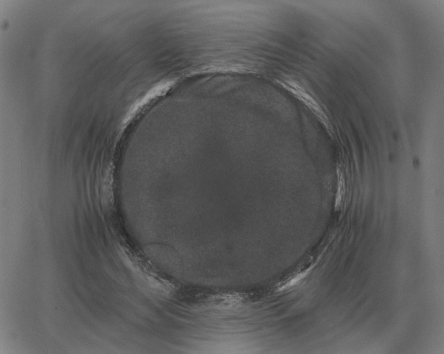 X0000062880492200601201823