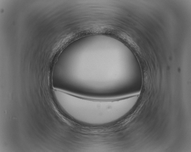 X0000062880493200601201823