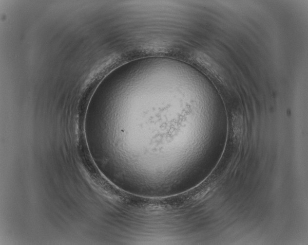 X0000062880494200601201823