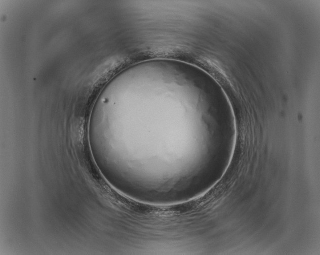 X0000062880495200601201823