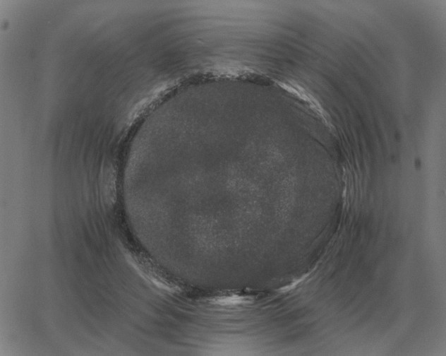 X0000062880496200601201823