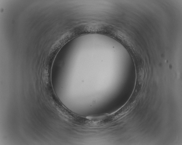 X0000062880497200601201823