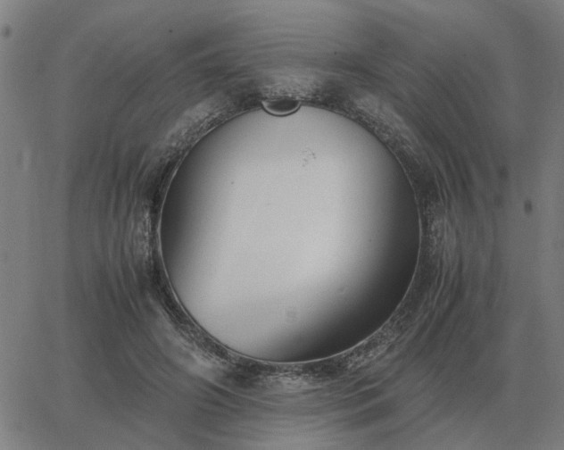 X0000062880498200601201823