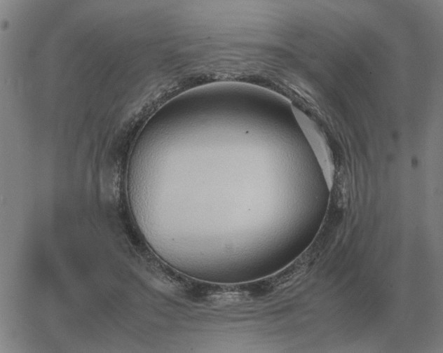 X0000062880499200601201823