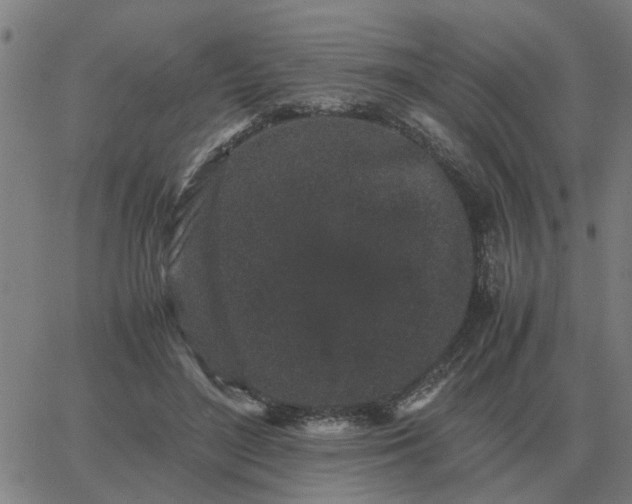 X0000062880500200601201823