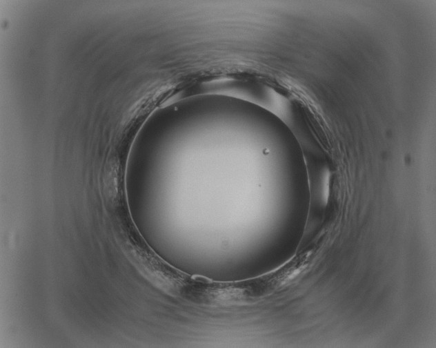 X0000062880501200601201823