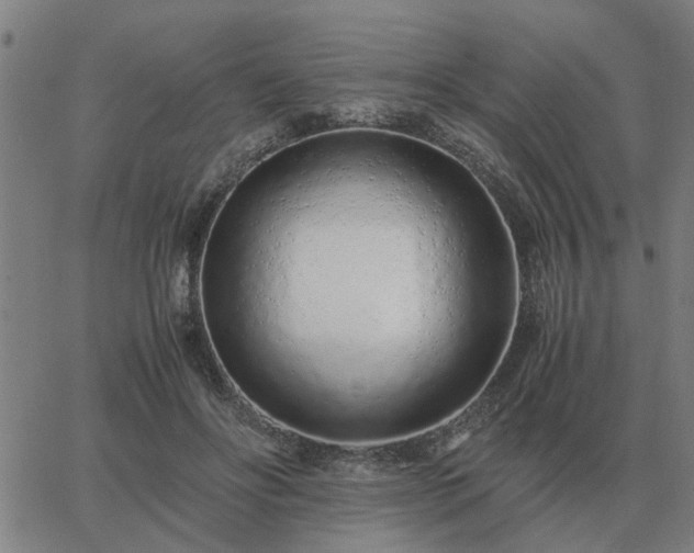 X0000062880502200601201823