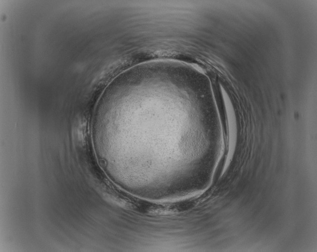 X0000062880503200601201823