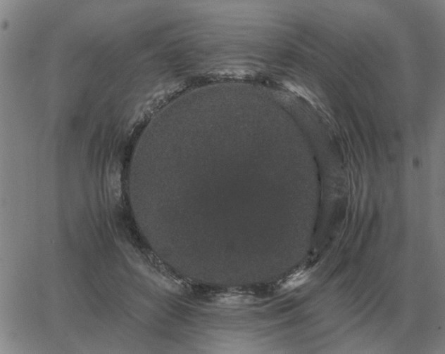 X0000062880504200601201823